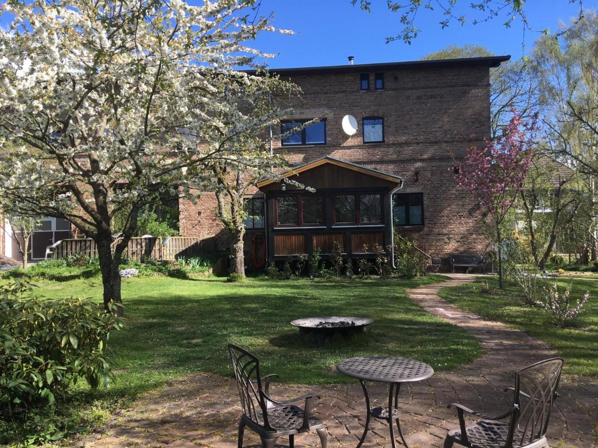 Ferienwohnung Kastanienblick Oder Parkblick, Oder Unser Radlerzimmer! Ziethen  外观 照片