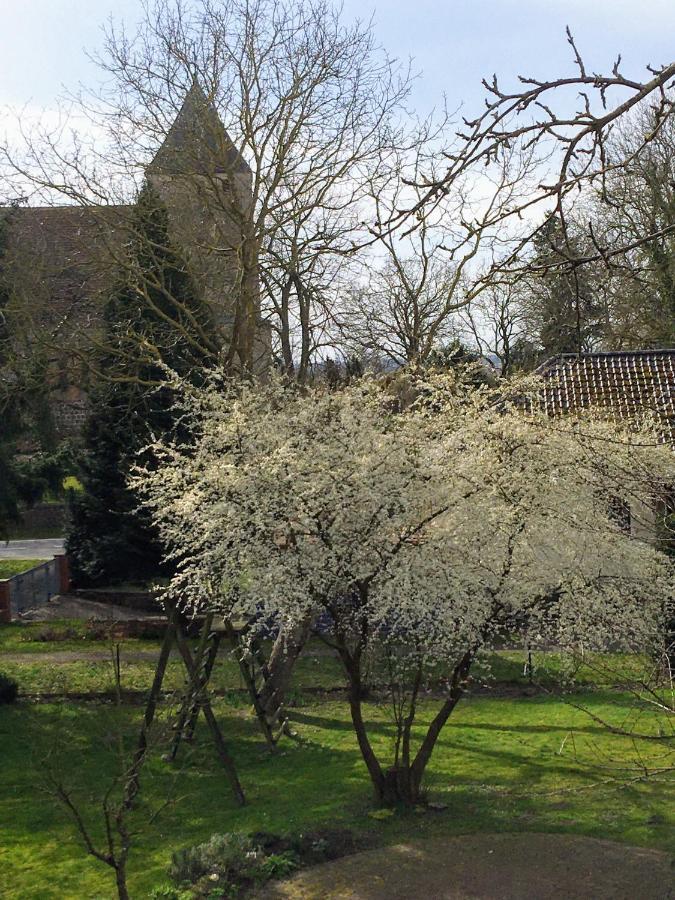 Ferienwohnung Kastanienblick Oder Parkblick, Oder Unser Radlerzimmer! Ziethen  外观 照片