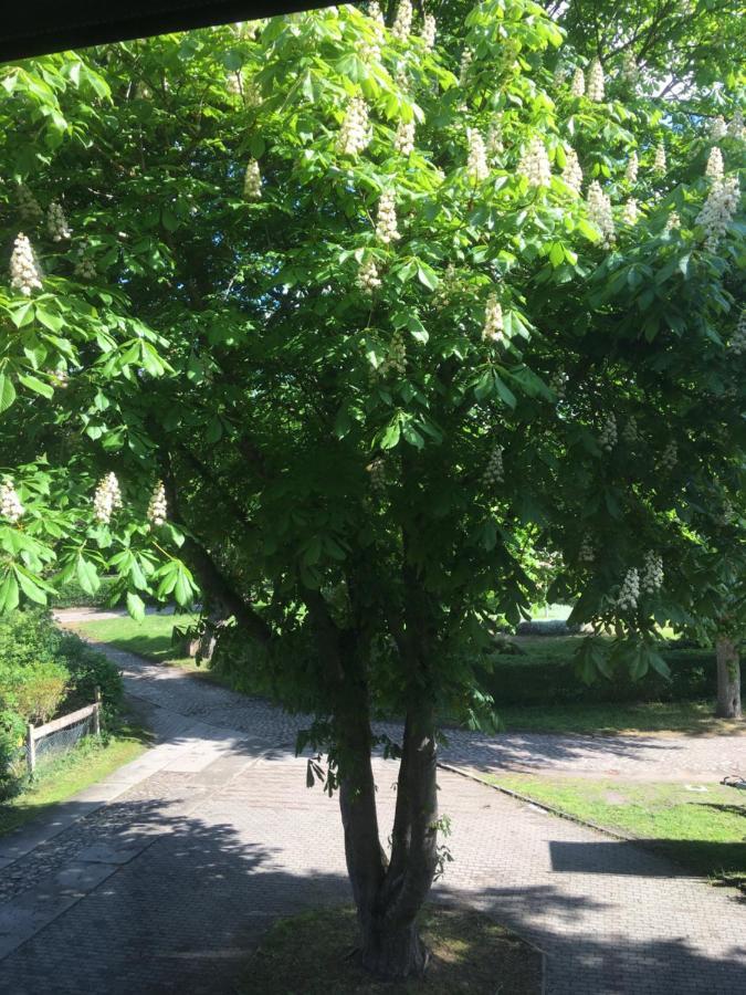 Ferienwohnung Kastanienblick Oder Parkblick, Oder Unser Radlerzimmer! Ziethen  外观 照片
