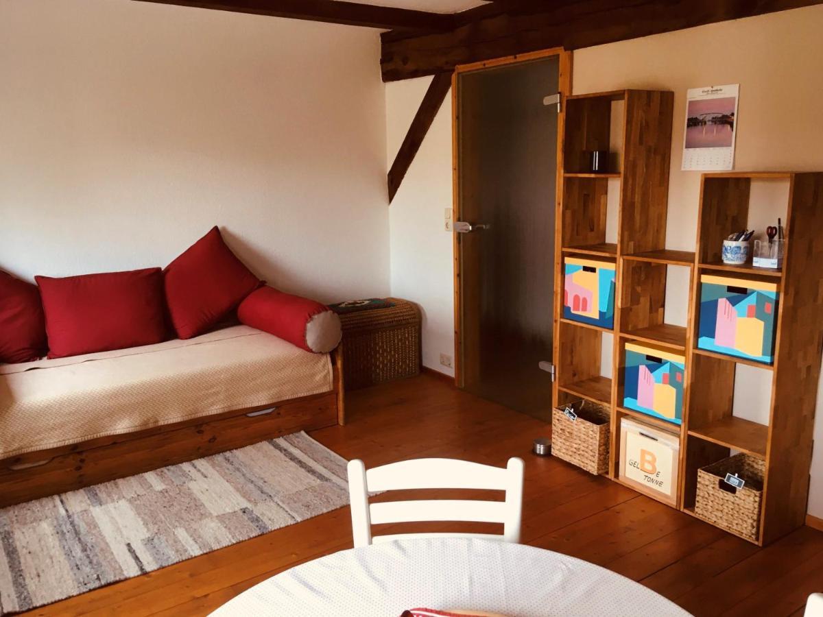Ferienwohnung Kastanienblick Oder Parkblick, Oder Unser Radlerzimmer! Ziethen  外观 照片