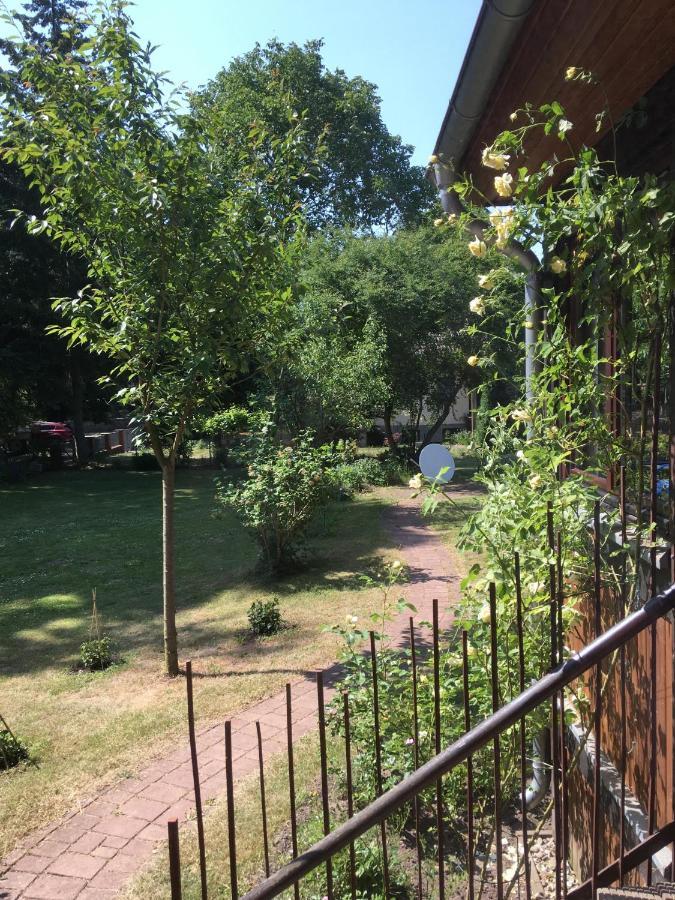 Ferienwohnung Kastanienblick Oder Parkblick, Oder Unser Radlerzimmer! Ziethen  外观 照片