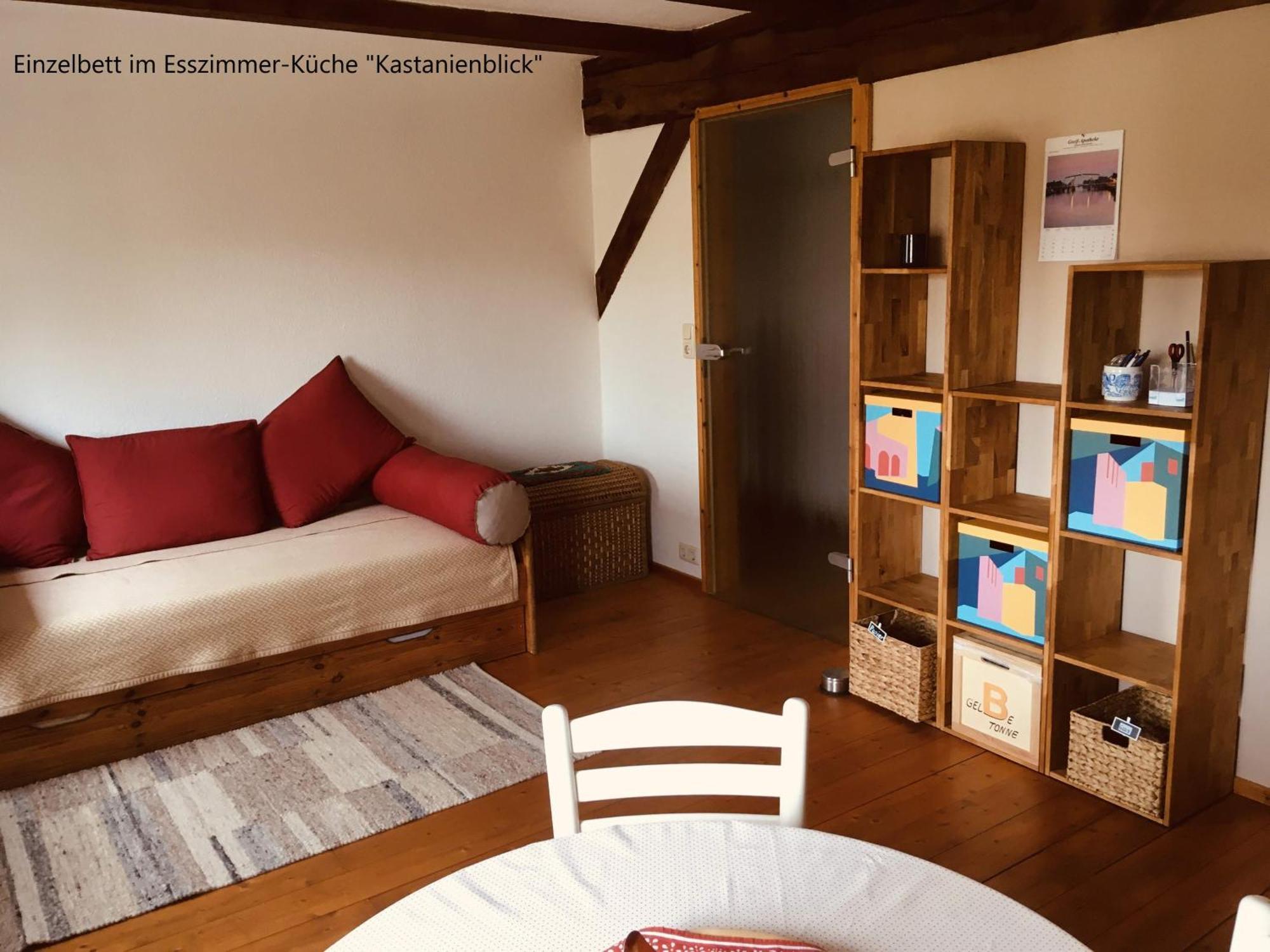 Ferienwohnung Kastanienblick Oder Parkblick, Oder Unser Radlerzimmer! Ziethen  外观 照片