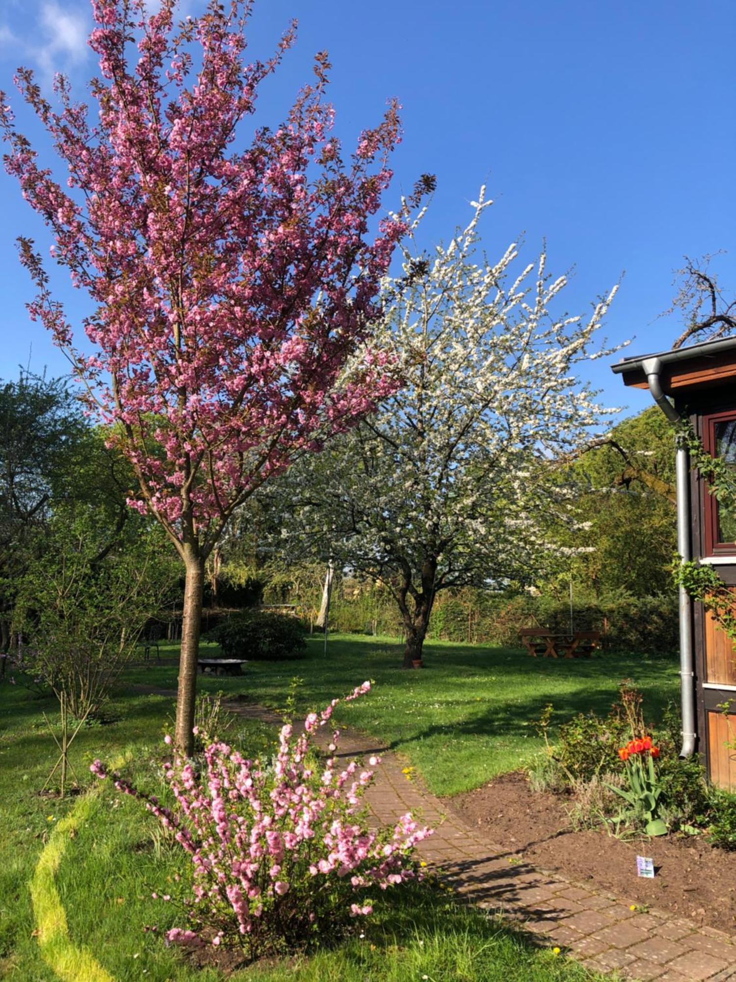 Ferienwohnung Kastanienblick Oder Parkblick, Oder Unser Radlerzimmer! Ziethen  外观 照片